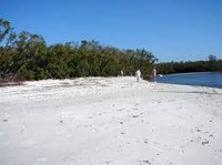 Barefoot Beach