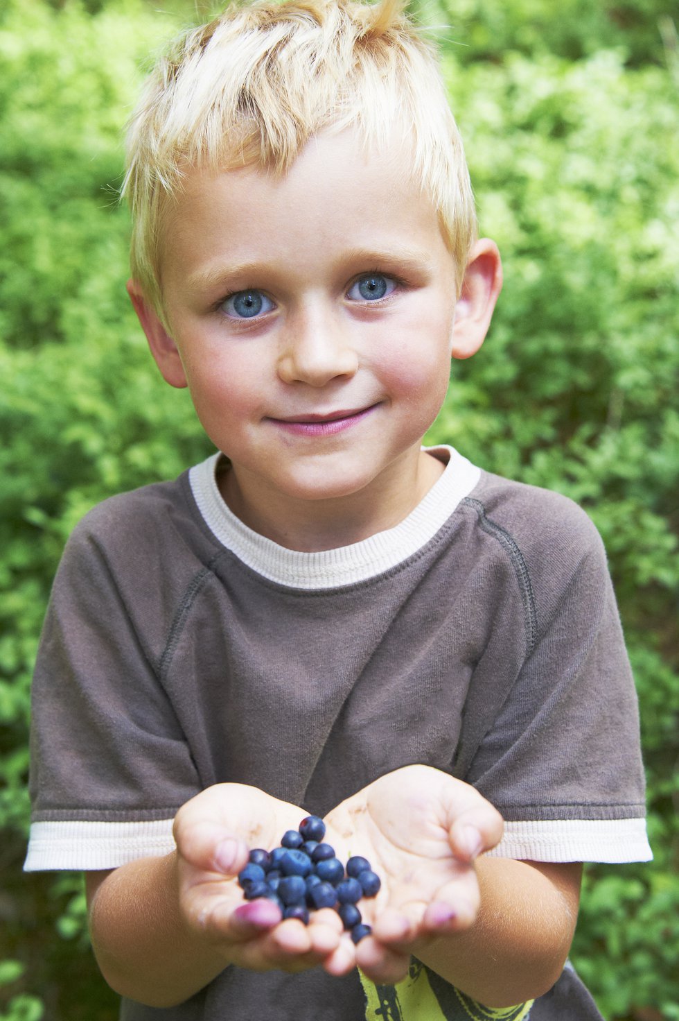 little boy blueberries