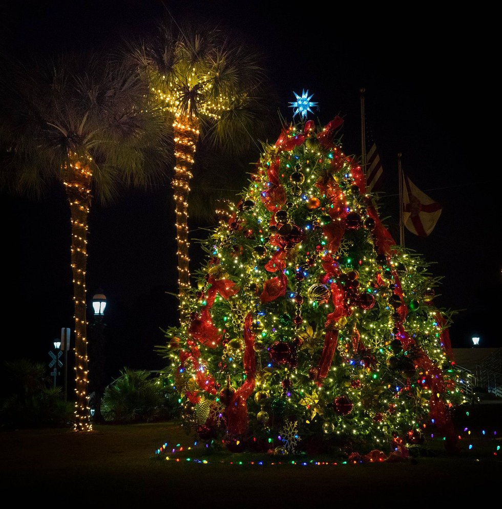 Christmas Lights  Florida