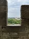 Caarcassonne view.jpeg