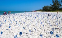 Plant pinwheels to commemorate National Child Abuse Prevention Month.jpg