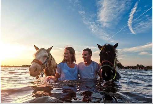 Summer - Day Trips - Beach Horses.jpg