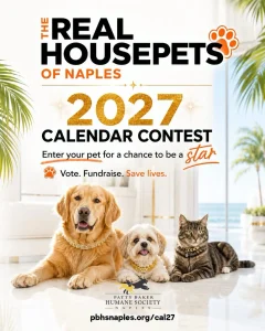 The Real Housepets of Naples calendar contest